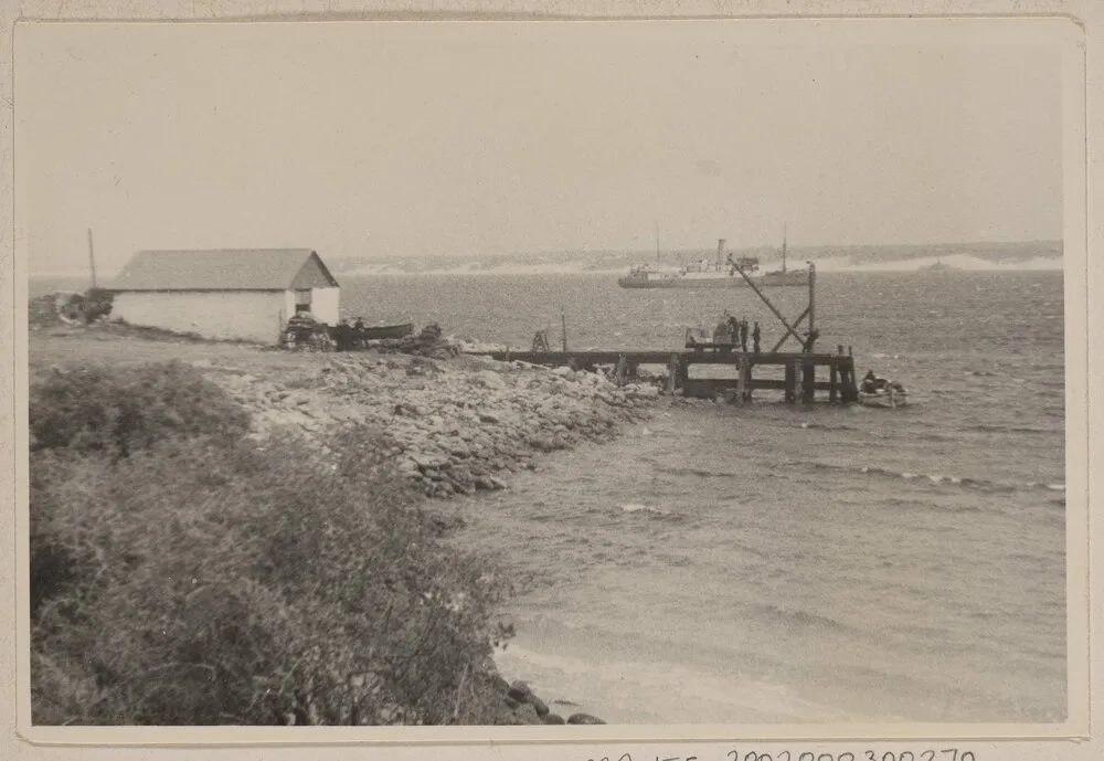 Black and white photograph of the Gabo Island landing: a shed and stone shoreline, a timber jetty with a crane and people, and the steamer Cape York at anchor beyond.